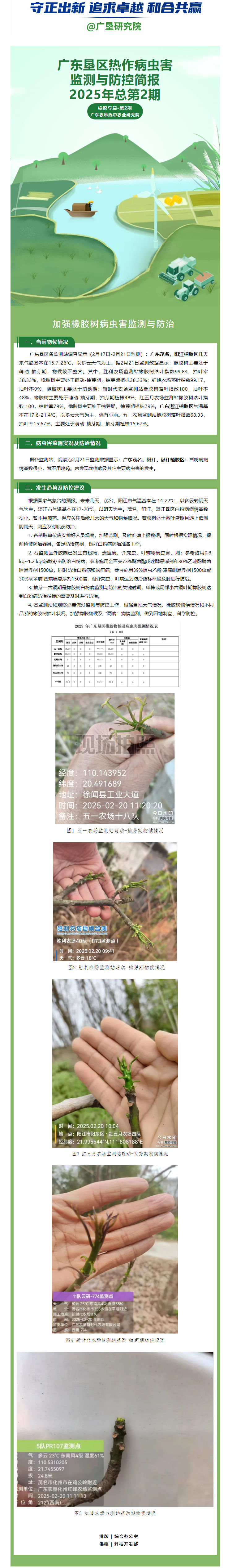 广东垦区热作病虫害监测与防控简报——橡胶专篇第2期（2025年总第2期）.png